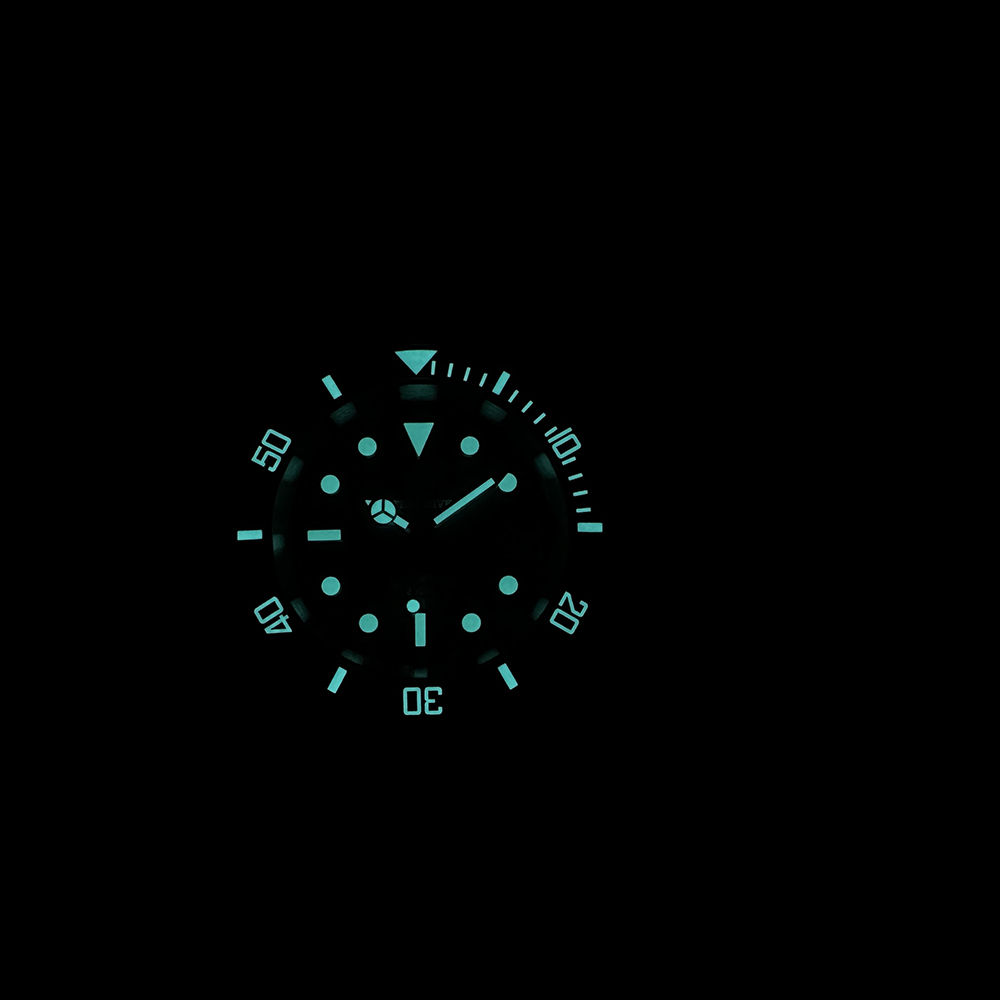 Steeldive Nieuwe Horloge SD195 - Seiko Watch Prospex recensie en prijs